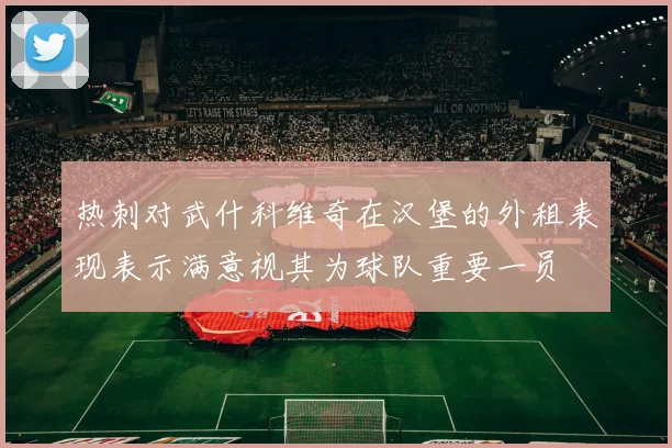 热刺对武什科维奇在汉堡的外租表现表示满意视其为球队重要一员