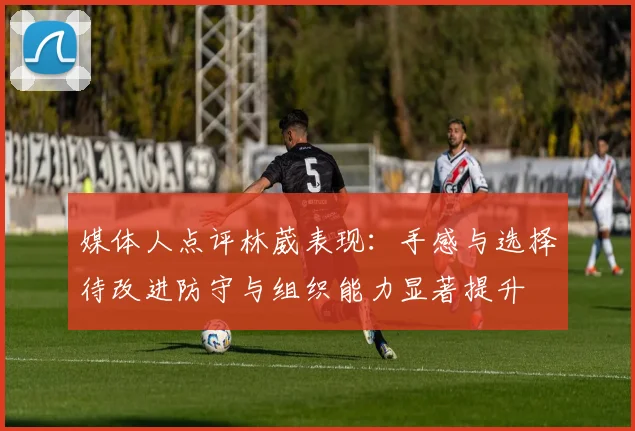 媒体人点评林葳表现：手感与选择待改进防守与组织能力显著提升