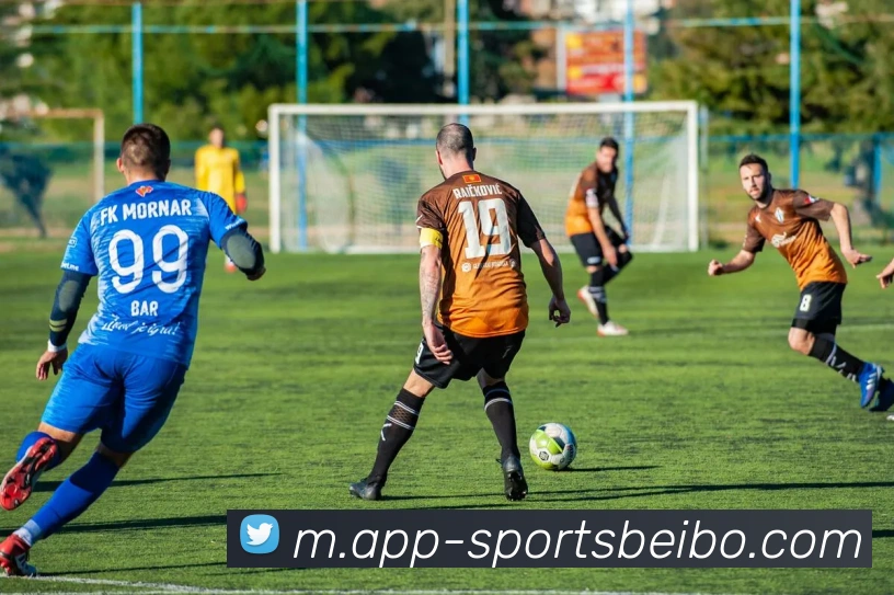 贝博体育APP 封面图